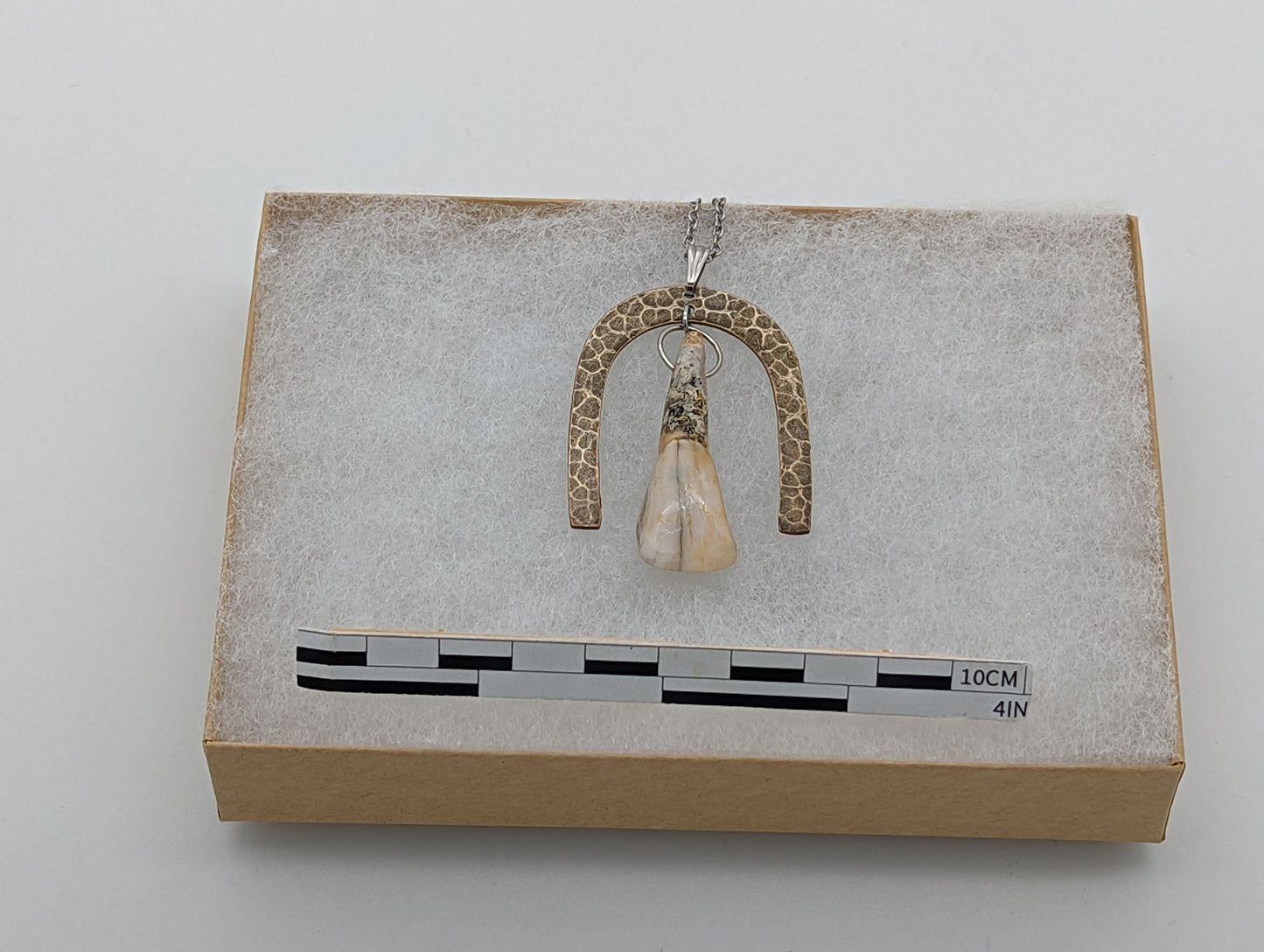18th Century Cow Tooth Horseshoe Necklace J14