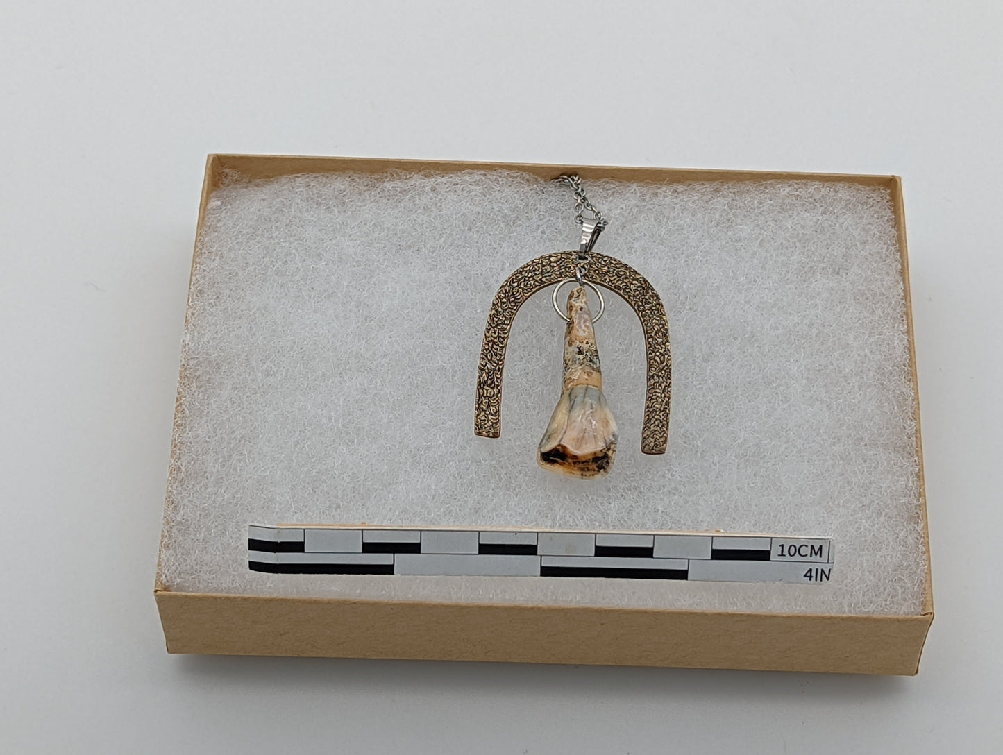 18th Century Cow Tooth Horseshoe Necklace J14
