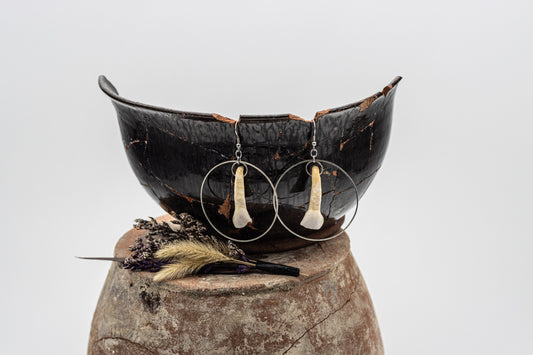 18th Century Cow Tooth Circle Earrings J20