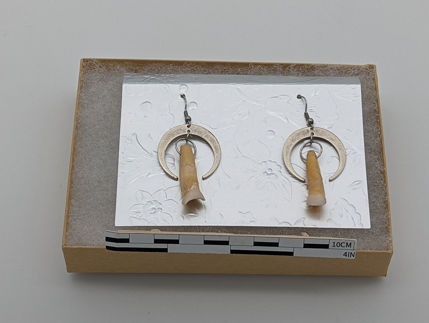 18th Century Cow Tooth Crescent Earrings J23